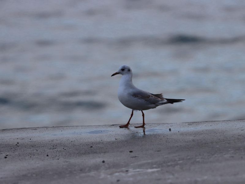 Юго-восток, разминка - 32