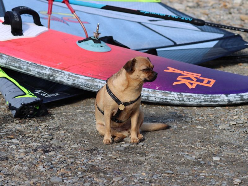 Южачок дует, но волну еще ждём! - 5