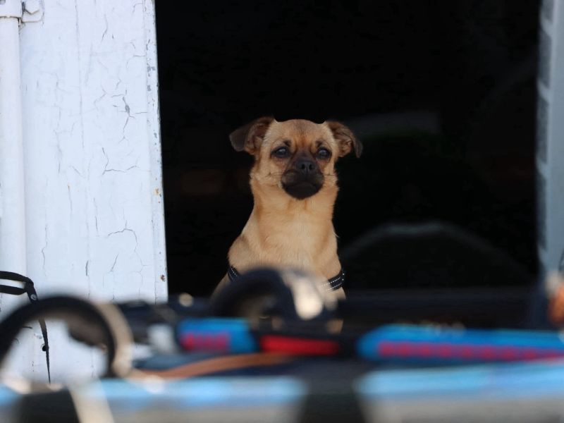 Южачок дует, но волну еще ждём! - 50