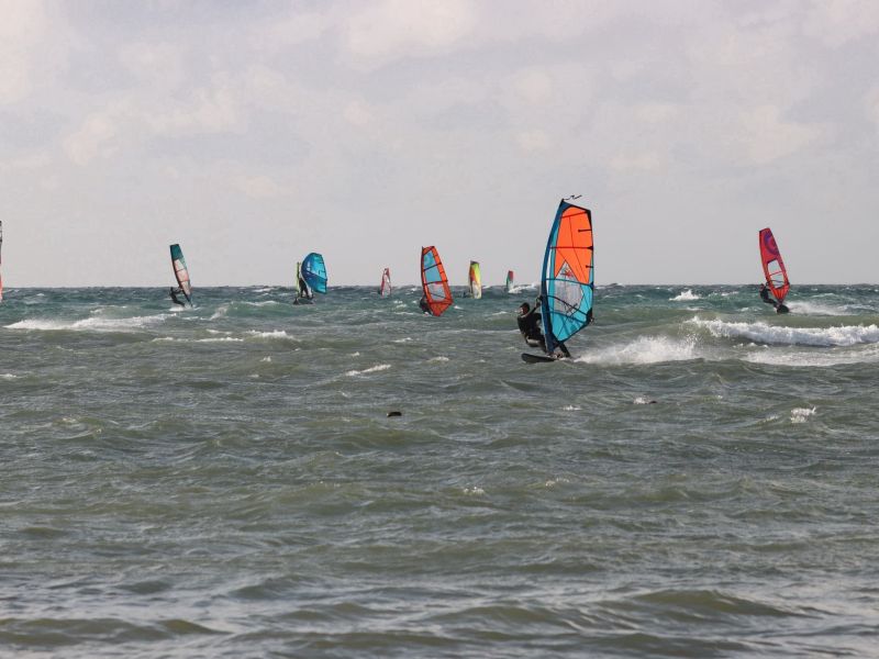 Ноябрьские юго-востоки! - 91