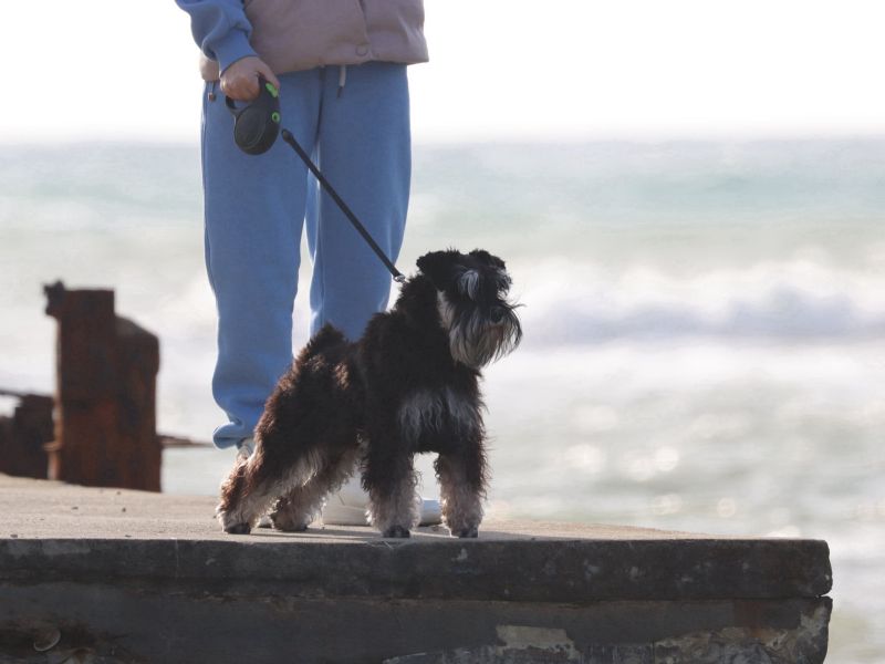 Ноябрьские юго-востоки! - 113